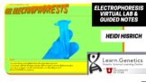 DNA Electrophoresis Guides Notes for Virtual Lab