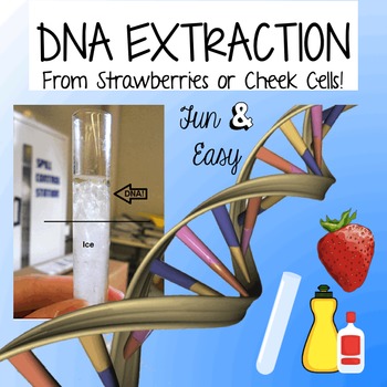 Preview of Free DNA Extraction Cheek Cells or Strawberries (Minilab or Fun Activity)