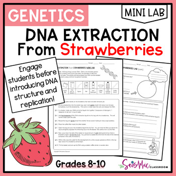 Preview of DNA Extraction From Strawberries | Genetics Mini-Lab