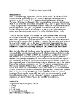 Preview of DNA Extraction - Fruit DNA Inquiry Lab