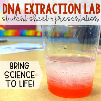 Preview of DNA Extraction Lab