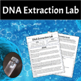 DNA Extraction Lab - High School Biology
