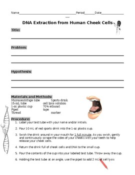Preview of DNA Extraction Lab Report