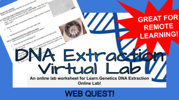 Preview of DNA Extraction Online WebQuest