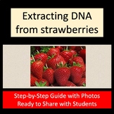DNA Extraction from Strawberries