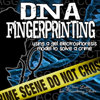 Preview of DNA FINGERPRINTING: Modeling Gel Electrophoresis to Solve a Crime NGSS model