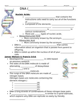 Preview of DNA Fill in Notes to Powerpoint DNA Notes