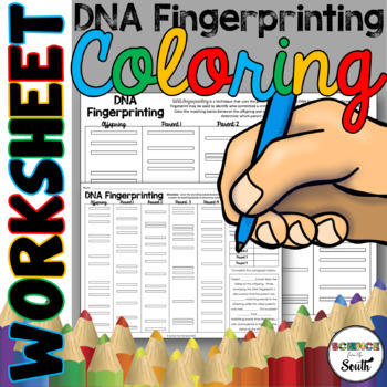Preview of DNA Fingerprinting Coloring Worksheet in Digital and Print with Differentiation
