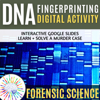 Preview of DNA Fingerprinting/DNA Profiling Activity: Learn & Model - NO PREP!