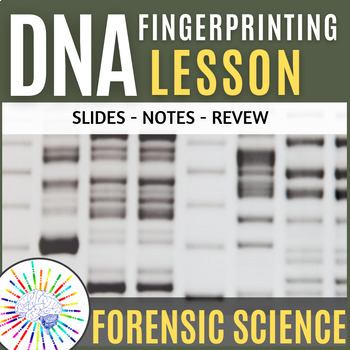 Preview of DNA Fingerprinting/DNA Profiling Lesson: Slides + Notes + Review Questions