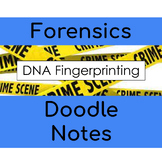 DNA Fingerprinting Doodle Notes