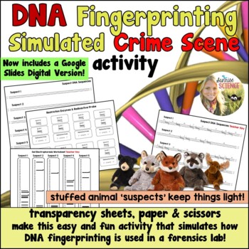 Preview of DNA Fingerprinting Simulated Crime Scene Activity Distance Learning