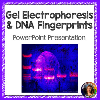 Preview of DNA Fingerprinting and Gel Electrophoresis Powerpoint