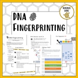 DNA Fingerprinting (using STRs)