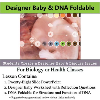 DNA Foldable & Designer Baby Worksheet with Reflection Questions by S J ...