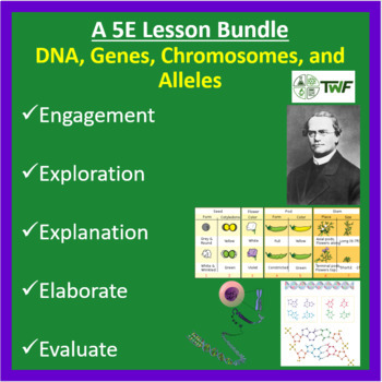 Preview of DNA, Genes, Chromosomes, and Alleles - 5E Lesson Bundle