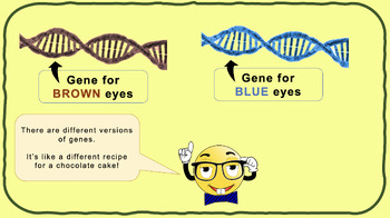 Preview of DNA, Genes and Inheritance - 5 lesson bundle - low ability/special ed/SEND