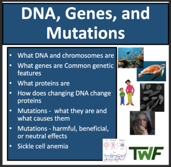 Preview of DNA, Genes, and Mutations - Middle School Lesson & Notes - MS–LS3-1