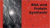 DNA History, Replication, and Protein Synthesis - Biology 