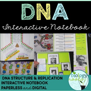 Preview of DNA Interactive Notebook