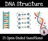 DNA Structure Mitosis Cell Cycle Review Packet 13 Open-End