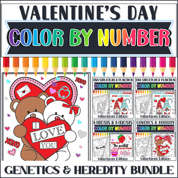 Preview of DNA | Mitosis & Meiosis| Genetics Science Valentine's Day Color by Number Bundle