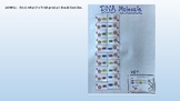 DNA Model Activity  (Base-Pairs for DNA Review)