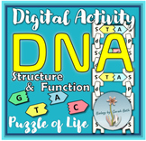 Digital DNA Model - Lab Activity with Structure and Functi