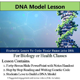 DNA Model - Read and Write Genetic Code - PowerPoint and Handouts