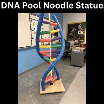 Preview of Biology DNA Unit, Pool Statue, AP Practice Test, Reading and Graphic Organizers