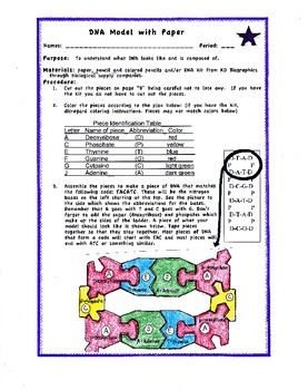 Preview of DNA Model with Paper