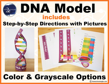 Preview of DNA Model with Step-by-Step Directions