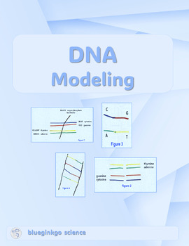 Preview of DNA Modeling Activity