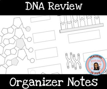 Preview of DNA Structure DNA Molecule Notes Template Review Sub Plan Coloring Sheet