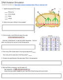 DNA Mutation Activity (KEY)