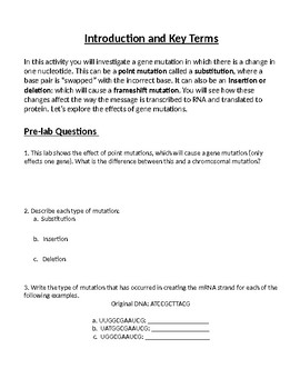 Dna Mutation Activity What Happened To The Dna By The Teacher S Planbook