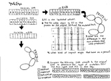 DNA Mutation Coloring sheet  and Practice