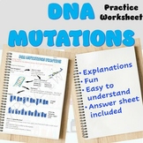 DNA Mutations Practice Worksheet