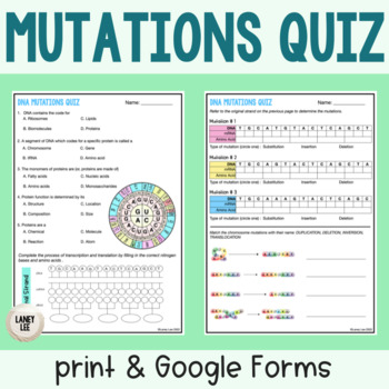 Preview of DNA Mutations Quiz