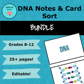 Preview of DNA Notes & Card Sort Activity Bundle