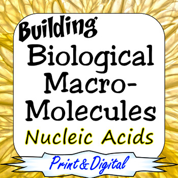Preview of Nucleic Acids Building Biological Macromolecules Print & Digital Bundle