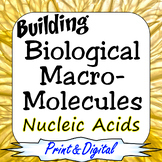 Nucleic Acids Building Biological Macromolecules Print & D
