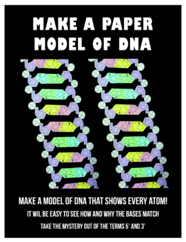 Preview of DNA PAPER MODEL to cut and assemble