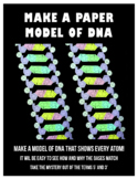 DNA PAPER MODEL to cut and assemble