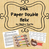 DNA Structure Lab: Paper Helix