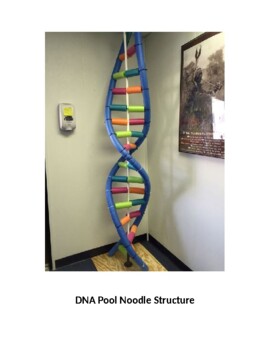 Preview of DNA Pool Noodle Statue