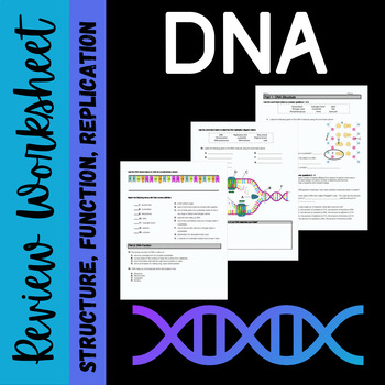 Preview of DNA  Structure, Function and Replication Review Worksheet