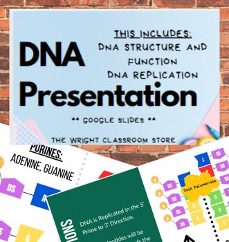 Preview of DNA Presentation