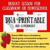 Extracting Strawberry DNA Experiment with Review, Activiti