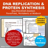 DNA Replication and Protein Synthesis: PowerPoint and Note